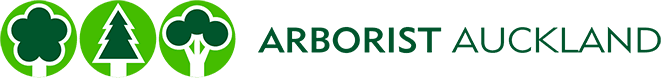 Arborist Auckland